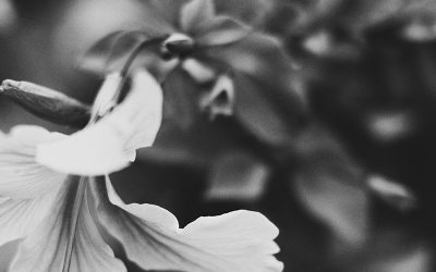 My Life Footprints…